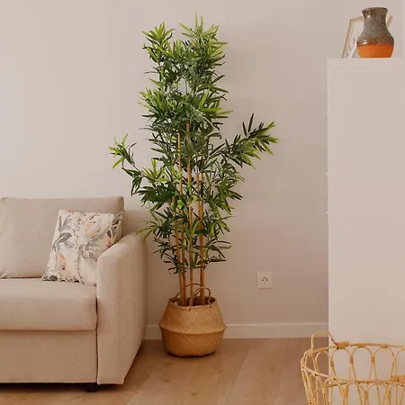 Alojamiento Centro-El Carmen Vut Apartament *